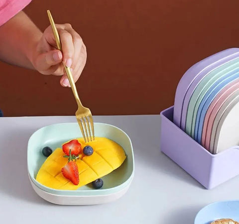 10 Pcs Set of Dish Plates with Free Holder