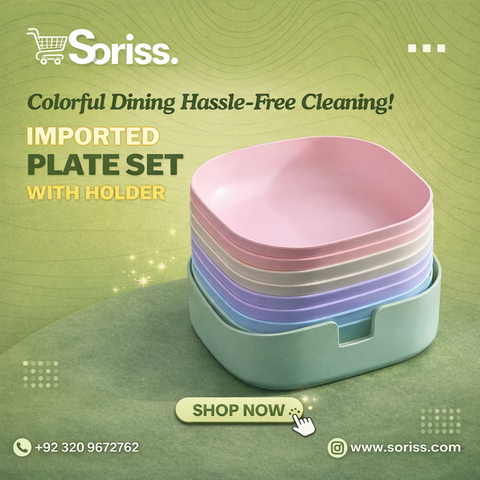 10 Pcs Set of Dish Plates with Free Holder